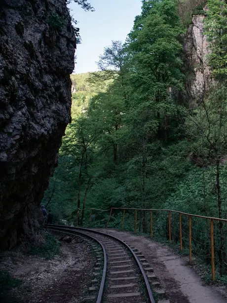 Kayalıboğaz