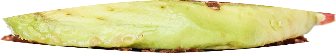 Avokado